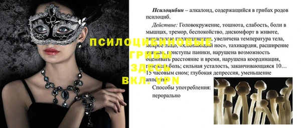 дживик Ростов