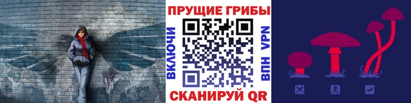 Псилоцибиновые грибы Psilocybine cubensis  Купить  Суворов 