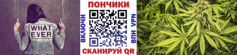Канабис тримм  Купить закладки  Суворов 